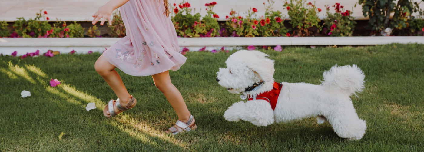 DogWatch of the Coastal Bend LLC, Aransas Pass, Texas | Outdoor Hidden Dog Fences Slider Image